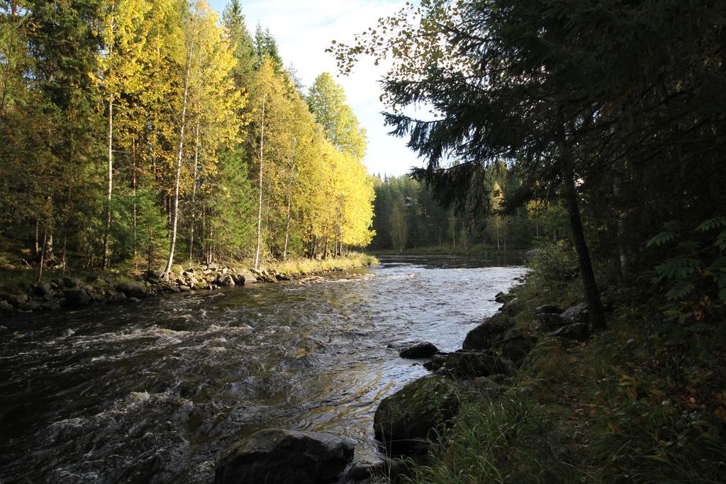 Keskikosken Lomamoekit Venajanjarvi Exterior foto